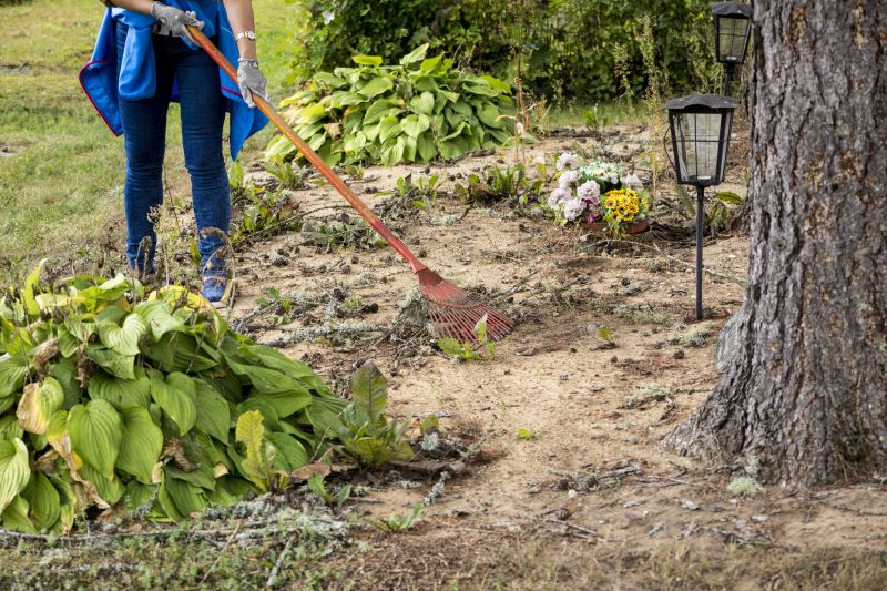 Brush Clearing Service in Cumming, GA