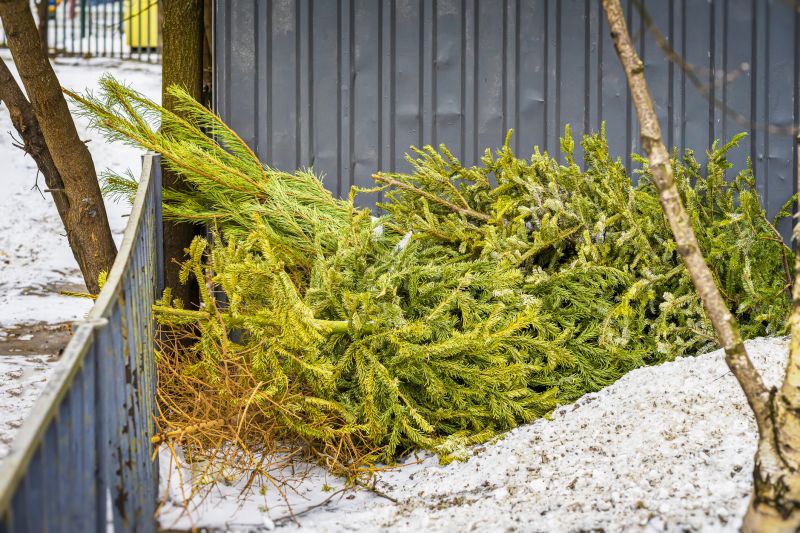 Pine Tree Removal Costs — Cost of Pine Tree Removal