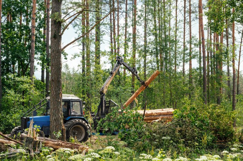 Pine Tree Removal Equipment