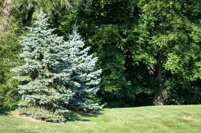Increased sunlight exposure