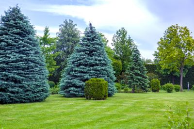 Protection of property and structures